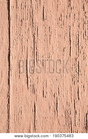 Vintage Wood Background And Texture With Peeling Paint.