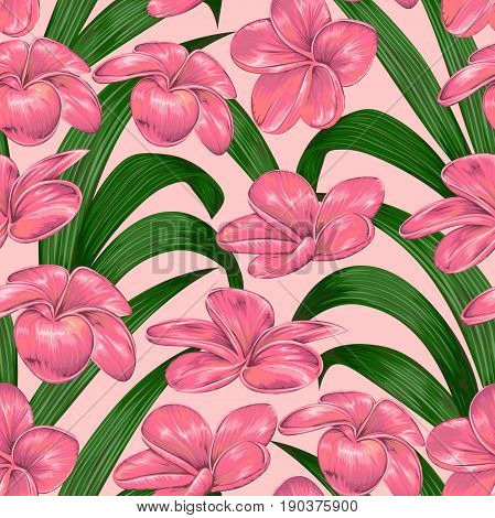 Seamless pattern with tropical pink plumeria flowers. Exotic floral botanical background. Vintage hand drawn vector illustration in watercolor style
