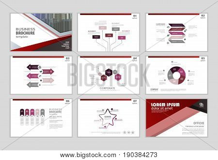 Layout brochure design brochure template for business presentation brochure annual report brochure business flyer and leaflet cover with infographic elements graphs and charts. Infographic brochure elements for business data visualization. Vector format.