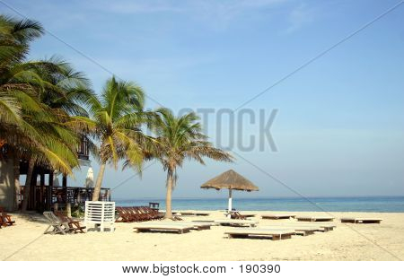 Tropical Beach