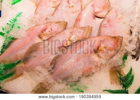Fresh raw megrim fish on market Raw food