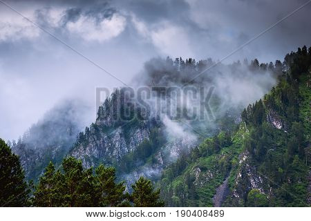 mountain peaks with forest in the fog and clouds