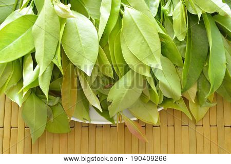 Garcinia cowa tropical herb taste sour but healthy food on tray