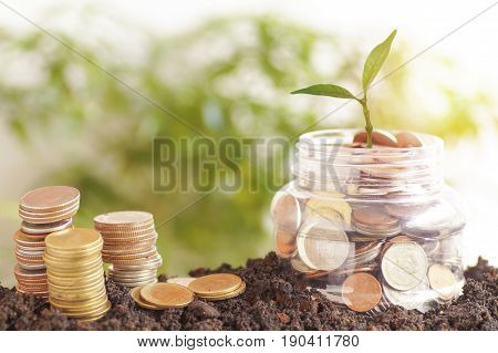 small green tree growth up on plastic jars and staced money on soil concept in save and step by step of business finance economy and account bank
