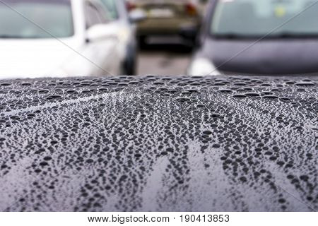 Drops of water on the car roof color after rain, nature background
