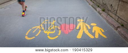 Bicycle Signs Painted On Asphalt