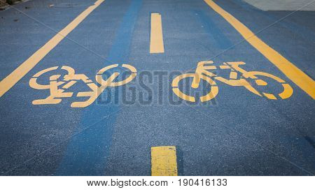 Bicycle Signs Painted On Asphalt