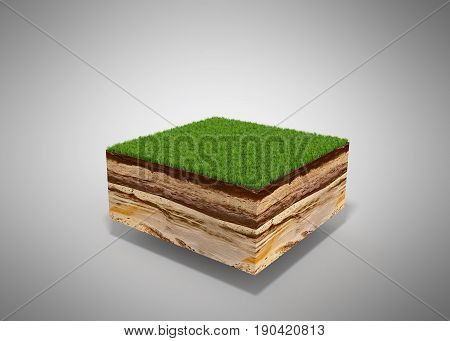 3D Illustration Of Cross Section Of Ground With Grass Isolated On Grey