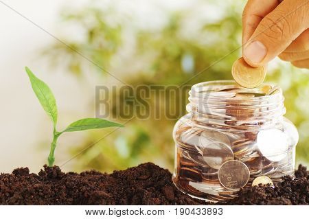 hand put coins on plastic jars and staced money with small green tree growth up from soil concept in save and growth up step by step of business finance economy and account bank