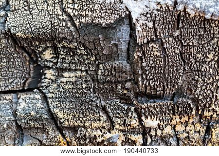The Scorched Wooden Background.