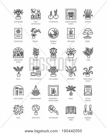 Vector line icons with house plants and flowers. Indoor flowering and green foliage plants. Gardening tools and accessories. Lucky bamboo bonsai fern cactus succulent orchid palm. Elements for interior decoration.