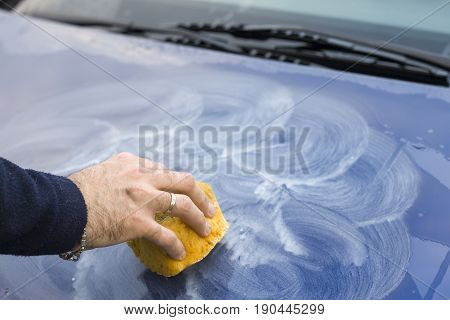 Male hand applies polishing paste on car paint with sponge.