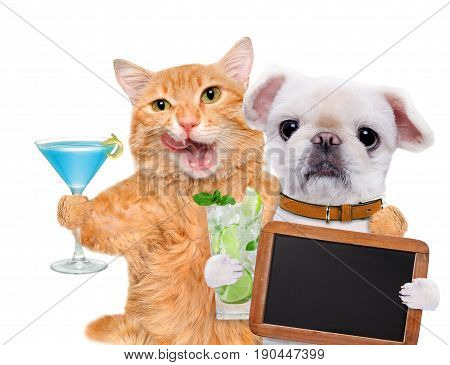 Cat and dog relaxing in the white background. Cat and dog holds blank blackboard .