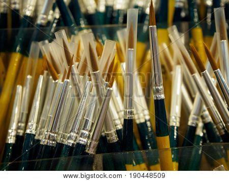 Close-up detail of multiple artist's paintbrushes with fine tips at an arts and crafts store. Arts and craft creativity concept.