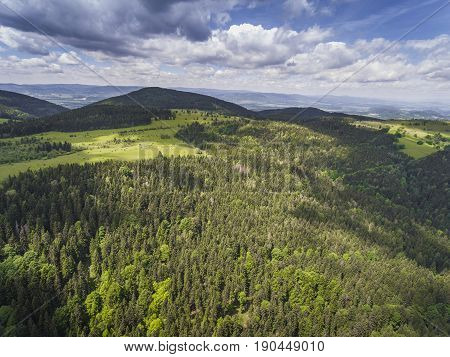 Aerial View Of The Summer Time In Mountains Near Czarna Gora Mountain In Poland. Pine Tree Forest An