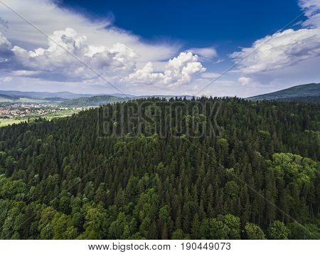 Aerial View Of The Summer Time In Mountains Near Stronie Slaskie Town In Poland. Pine Tree Forest An