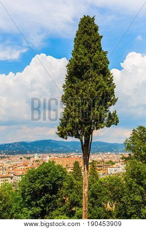 Aerial View Of Florence, Italy