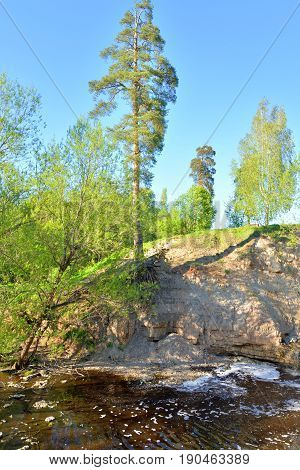 View of the river Sablinka at sunny summer day Leningrad Region Russia.