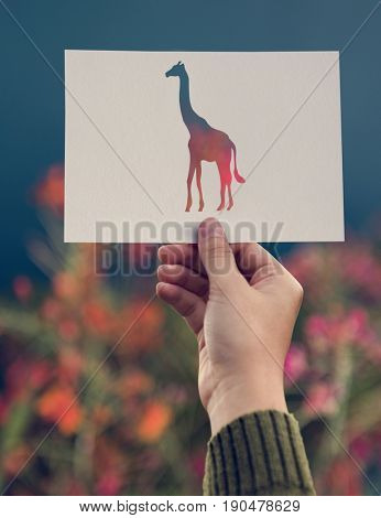 Hand Hold Giraffe Paper Carving with Flower Background