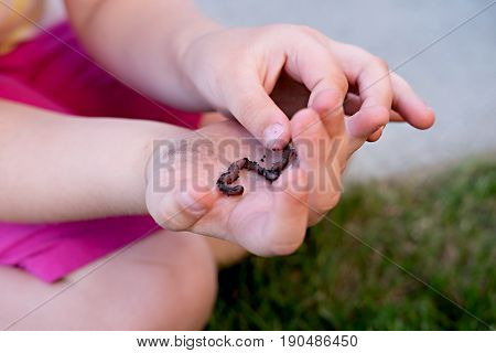 Child holds and touches worm in her hands