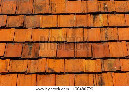 clean roof tiles background texture in regular rows
