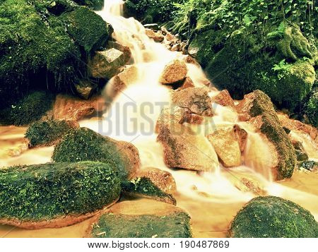 Cascades In Rapid Stream Of Mineral Water. Red Ferric Sediments On Big Boulders Between Green Ferns.