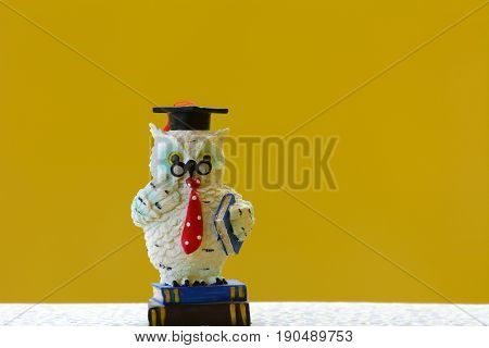 Earthenware figurines decorative figurines owl isolated on a yellow background