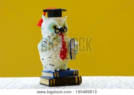 Earthenware figurines decorative figurines owl isolated on a yellow background