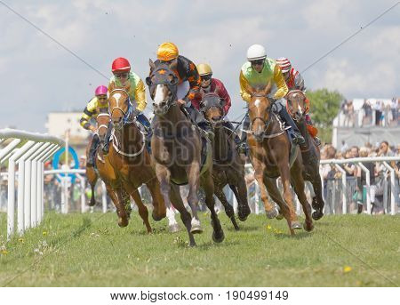 STOCKHOLM SWEDEN - JUNE 06 2017: Tough fight between many jockeys riding arabian race horses at Nationaldags Galoppen at Gardet. June 6 2017 in Stockholm Sweden