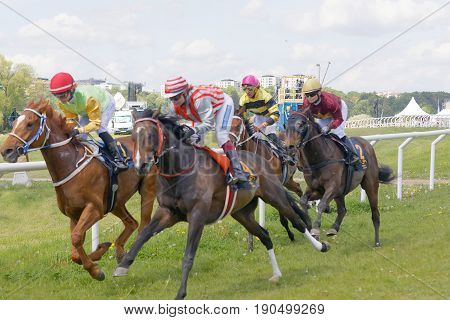 STOCKHOLM SWEDEN - JUNE 06 2017: Tough fight between many jockeys riding arabian race horses at Nationaldags Galoppen at Gardet. June 6 2017 in Stockholm Sweden