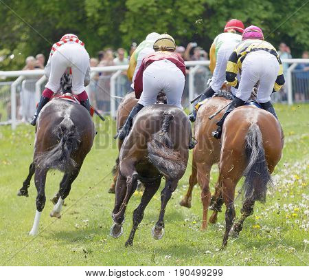 STOCKHOLM SWEDEN - JUNE 06 2017: Rear view of jockeys riding race horses in a curve at Nationaldags Galoppen at Gardet. June 6 2017 in Stockholm Sweden