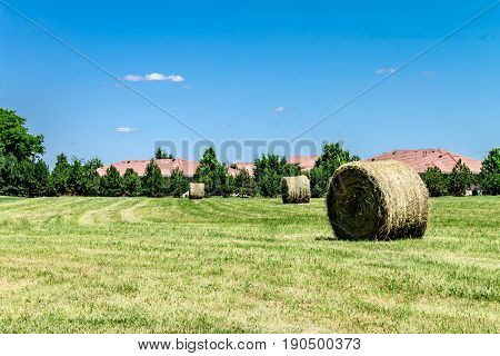 Blue sky over hay field in the middle of the city
