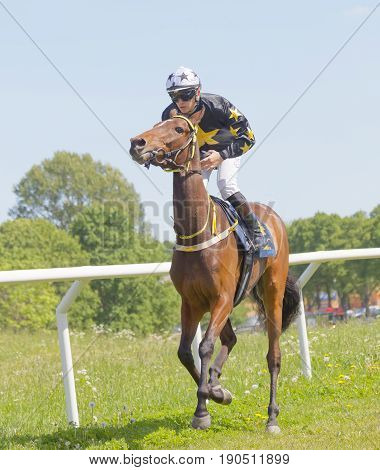 STOCKHOLM SWEDEN - JUNE 06 2017: Front view of a male jockey riding a brown arabian race horse at Nationaldags Galoppen at Gardet. June 6 2017 in Stockholm Sweden