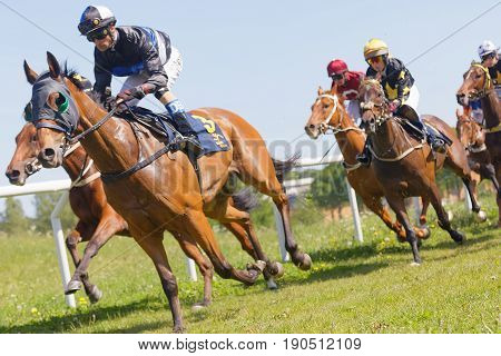 STOCKHOLM SWEDEN - JUNE 06 2017: Tough fight between many jockeys riding arabian race horses and audience in the background at Nationaldags Galoppen at Gardet. June 6 2017 in Stockholm Sweden