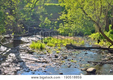 View of the river Sablinka at sunny summer day Leningrad Region Russia.