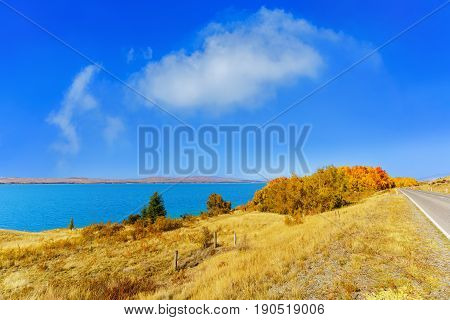 Beautiful scenery of Lake Pukaki Mackenzie District Canterbury region South Island of New Zealand