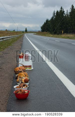 asphalt countryroad in mountains and basket full of big white mushrooms for sale