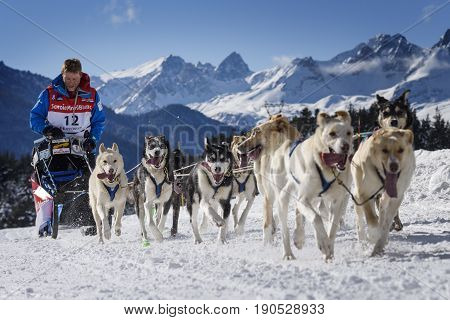 SARDIERES VANOISE FRANCE - JANUARY 20 2016 - the GRANDE ODYSSEE the hardest mushers race in savoie Mont-Blanc Philippe Pontier french musher Vanoise Alps
