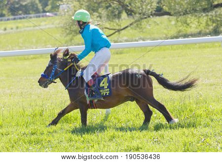 STOCKHOLM SWEDEN - JUNE 06 2017: Young girl riding a pony gallop race horse forest in the background at Nationaldags Galoppen at Gardet. June 6 2017 in Stockholm Sweden