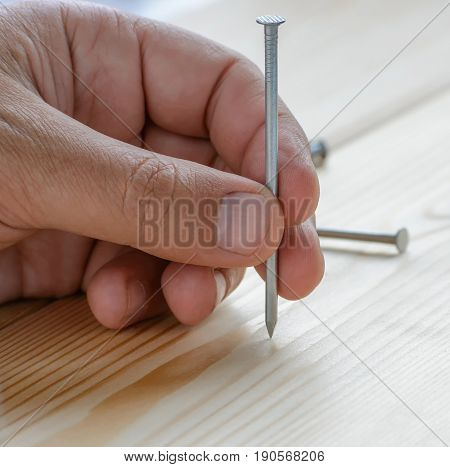 Capenter holding iron nail in hand on wooden plank. Construction concept