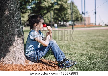 Boy tries on clown's red nose. The child sits under a tree. The concept of an outdoor party. red nose day