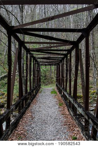 Looking Through Rusted Iron Trestle Bridge in The Forest