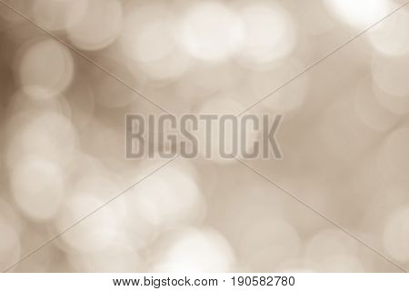 Color Tone Blurred Nature Background. Light And The Sky To Make It Shone Through The Leaves. Pastel