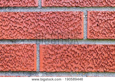 Red brick wall with white mortar background