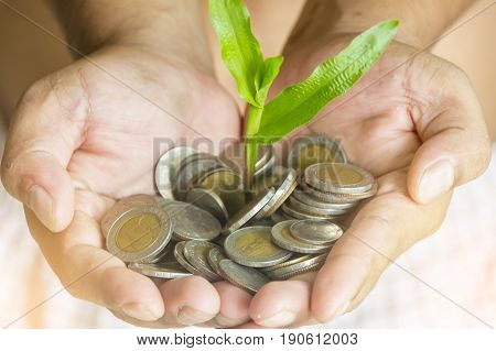 Money growing and plant growth in man hand concept.