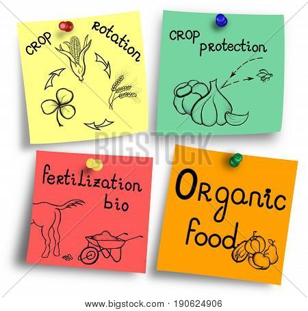 Essentials of organic food production on a colorful notes.