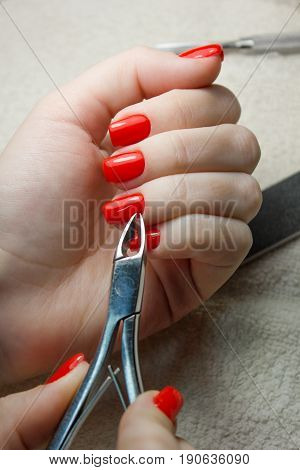 Nail Salon. Closeup Of Female Hand With Healthy Natural Nails Getting Nail Care Procedure. Closeup Hands Removing Cuticles With Professional Nail Tool Metal Clippers. Beauty Manicure. High Resolution