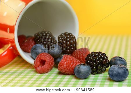 Cup with scuttered berries on the table