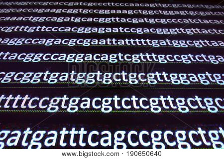 Sequencing the gene. Sequence of nucleotide bases in the decoded DNA molecule.