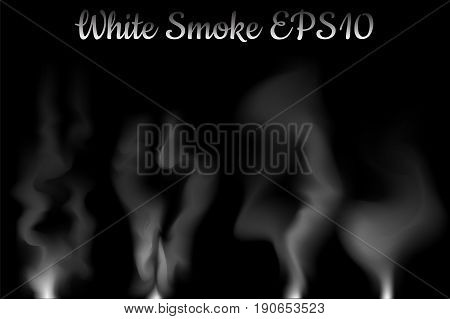 White smoke vector illustration on black background. White smoke effect. Cigarette or cigar smoke flow in air. Fireplace smoke. Mysterious air flow with transparent effect. Sensual mist. Steam flow